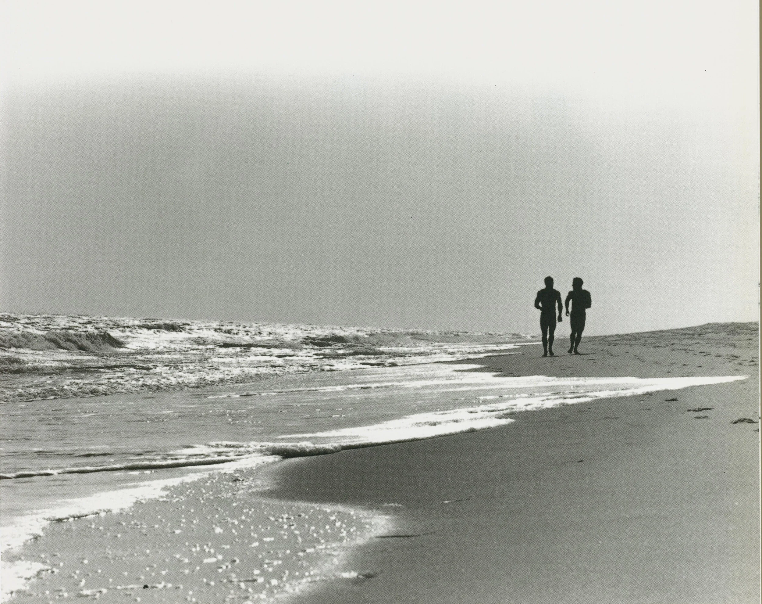 アート・デザイン・音楽 DAVID MORGAN  BEACH Beach” by David Morgan 2000 — Fire Island Pines Historical
